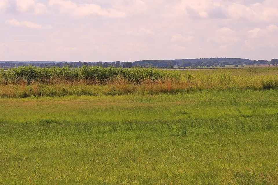 Landschaft und Sehenswürdigkeiten in Usedom für Busreise Usedom in kleiner Gruppe – Dauer & Komfort