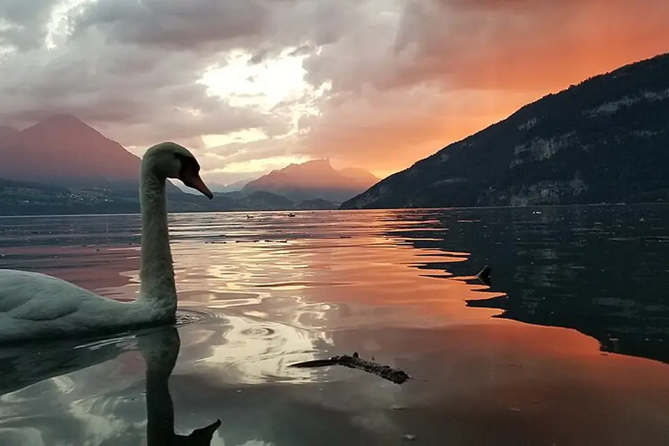 Authentischer Reisemoment in Berner Oberland – passend zu Busreise Berner Oberland ohne Nachtfahrt – ehrlich eingeordnet
