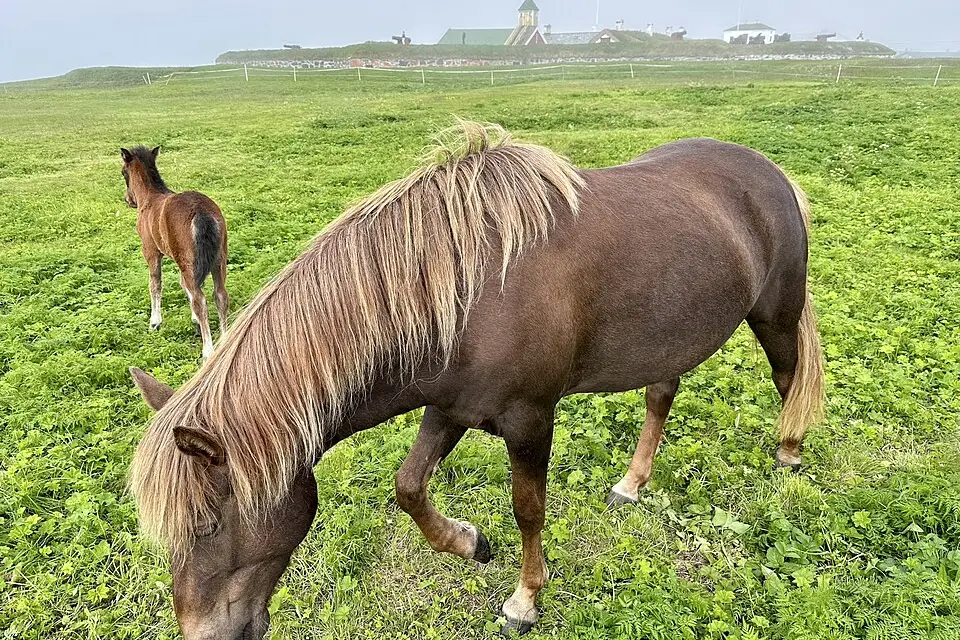 Landschaft und Sehenswürdigkeiten in Nordkap für Singlereise Nordkap mit dem Bus – Reiseguide