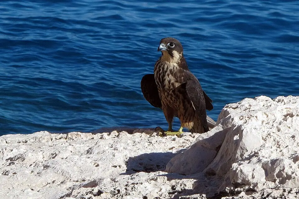 Authentischer Reisemoment in Sardinien – passend zu Singlereise Sardinien mit dem Bus – Route & Leistungen