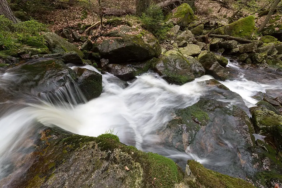 Stimmungsvolle Reiseansicht aus Harz für Gruppenreise Harz mit dem Bus – Reisecheck