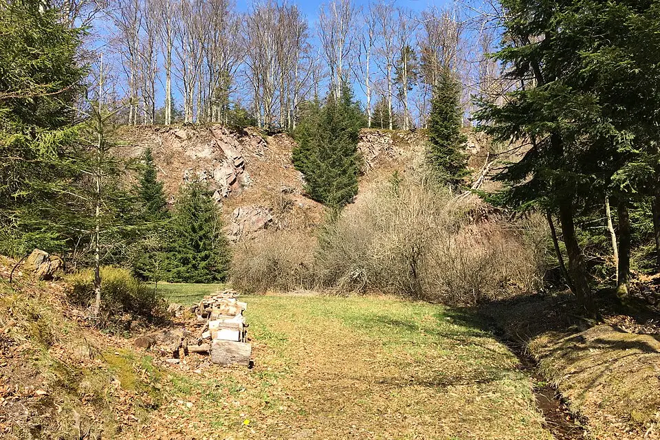 Landschaft und Sehenswürdigkeiten in Schwarzwald für Beste Reisezeit für eine Busreise Schwarzwald – Reisecheck