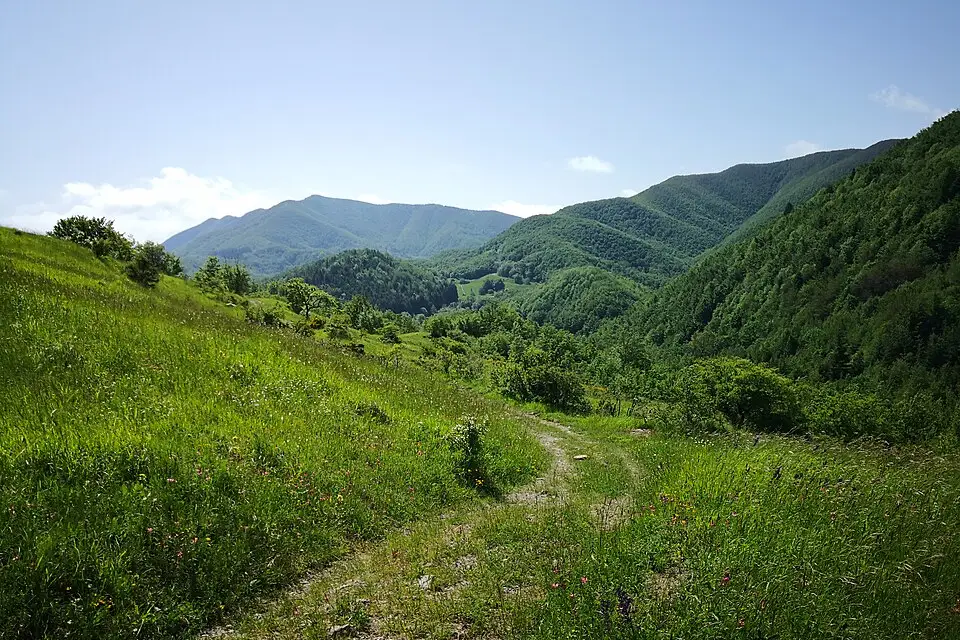 Landschaft und Sehenswürdigkeiten in Emilia Romagna für Singlereise Emilia-Romagna mit dem Bus – Route & Leistungen
