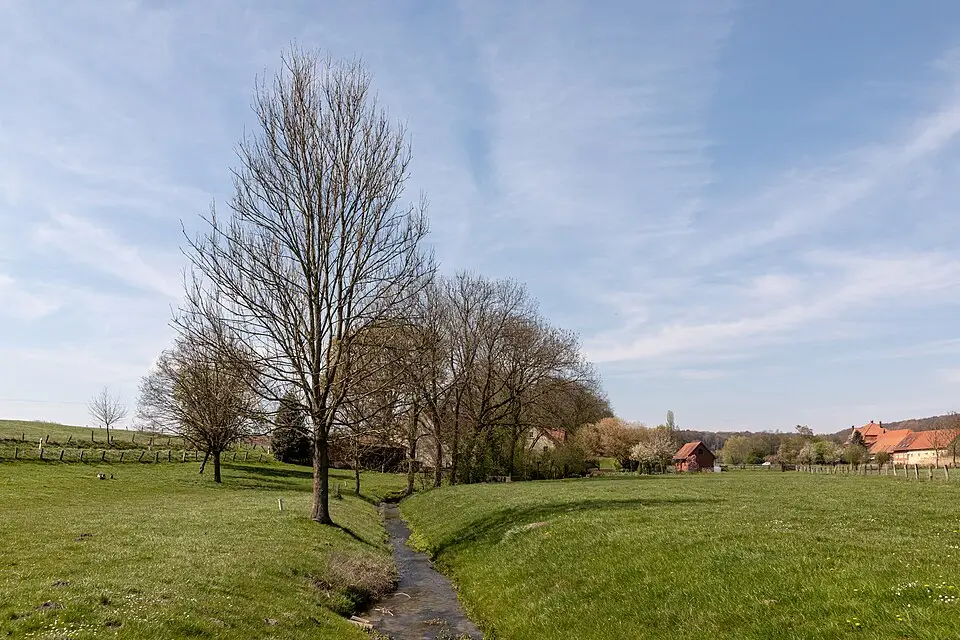 Landschaft und Sehenswürdigkeiten in Rhein für Standortreise Romantischer Rhein mit dem Bus – Route & Leistungen