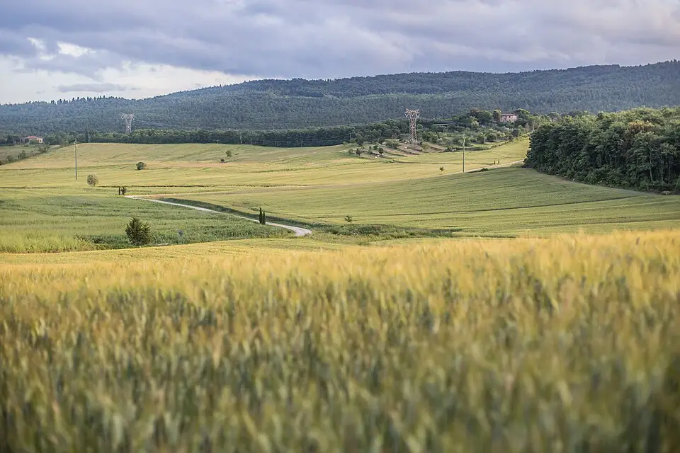 Landschaft und Sehenswürdigkeiten in Toskana für Busreise Toskana für Alleinreisende – Tipps zur Auswahl