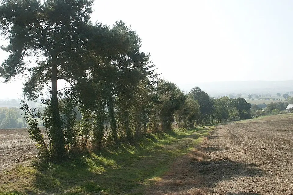 Landschaft und Sehenswürdigkeiten in Normandie für Gruppenreise Normandie mit dem Bus – Reiseguide