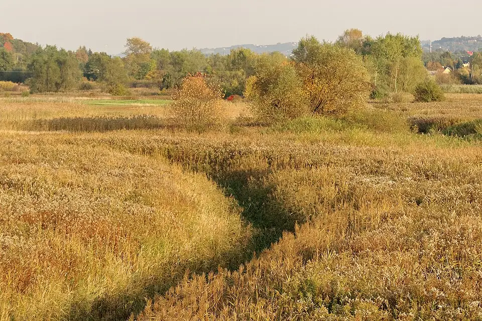 Landschaft und Sehenswürdigkeiten in Krakau für Busreise Krakau mit 4-Sterne-Hotel – Route & Leistungen