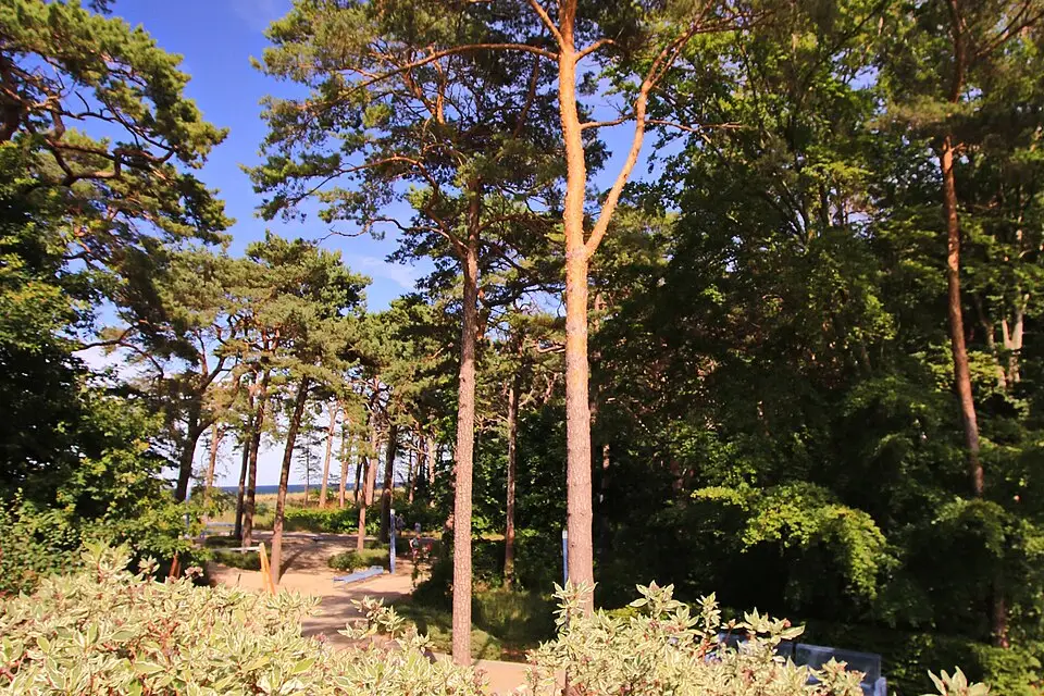 Authentischer Reisemoment in Usedom – passend zu Busreise Usedom im Frühling – Reiseguide
