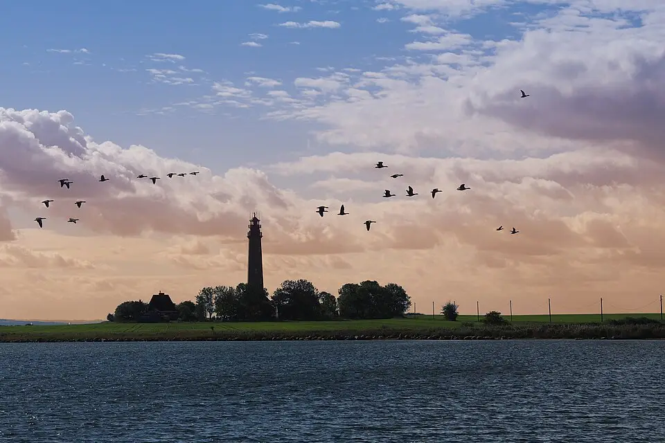 Landschaft und Sehenswürdigkeiten in Ostsee für Standortreise Ostsee mit dem Bus – Tipps zur Auswahl
