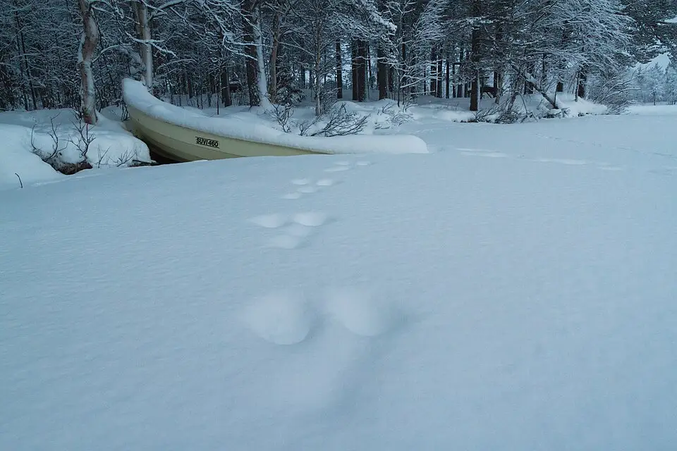 Authentischer Reisemoment in Finnland – passend zu Busreise Finnland für Senioren – Reiseguide