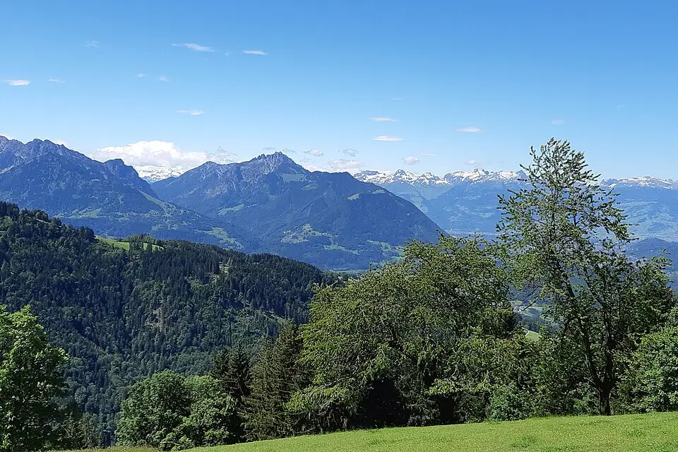 Stimmungsvolle Reiseansicht aus Vorarlberg für Busreise Vorarlberg im Sommer – ehrlich eingeordnet