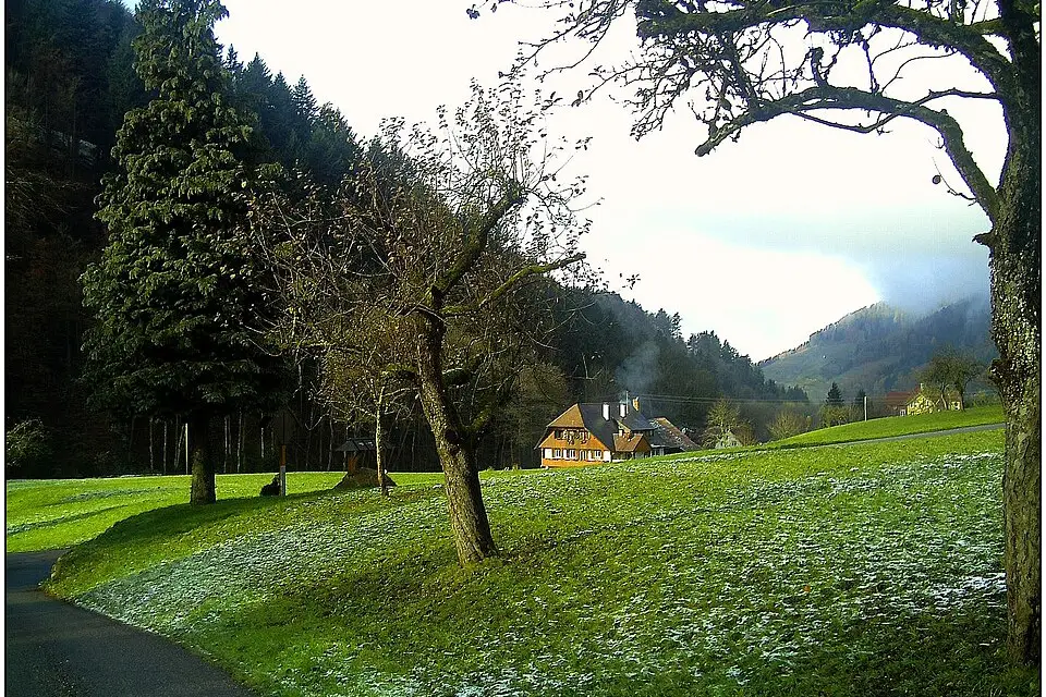 Stimmungsvolle Reiseansicht aus Schwarzwald für Gruppenreise Schwarzwald mit dem Bus – Dauer & Komfort