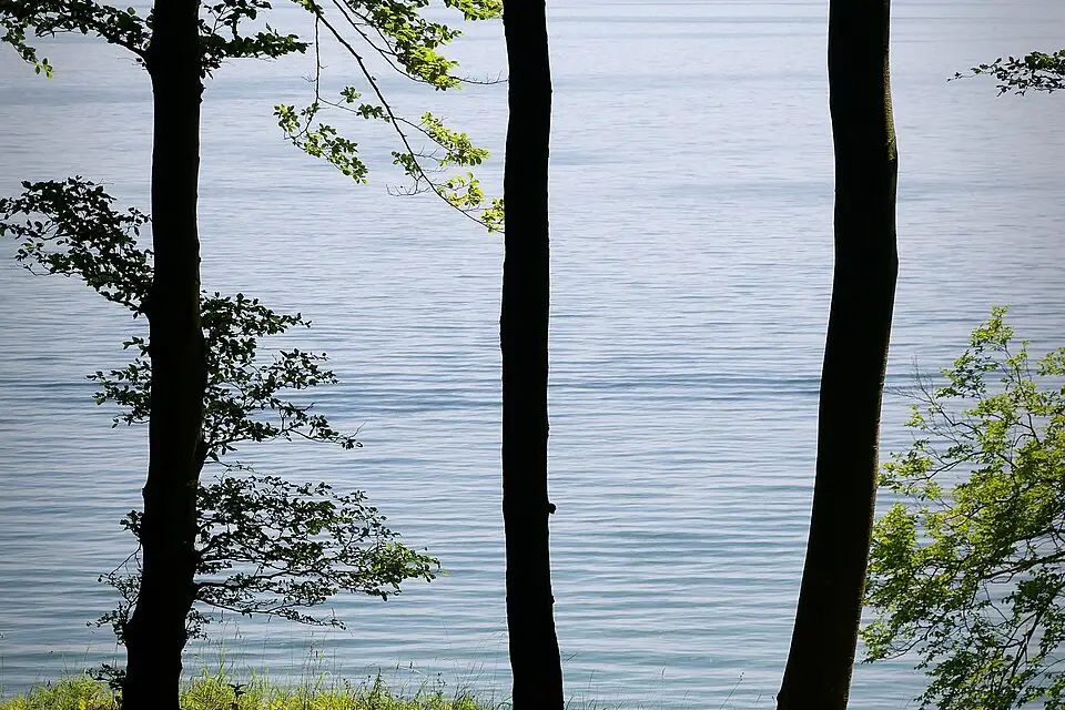 Authentischer Reisemoment in Rügen – passend zu Rundreise Rügen mit dem Bus – Route & Leistungen