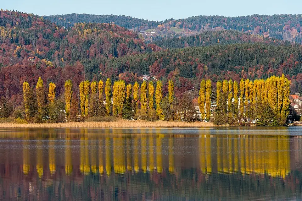 Authentischer Reisemoment in Kärnten – passend zu Busreise Kärnten im Sommer – Reisecheck