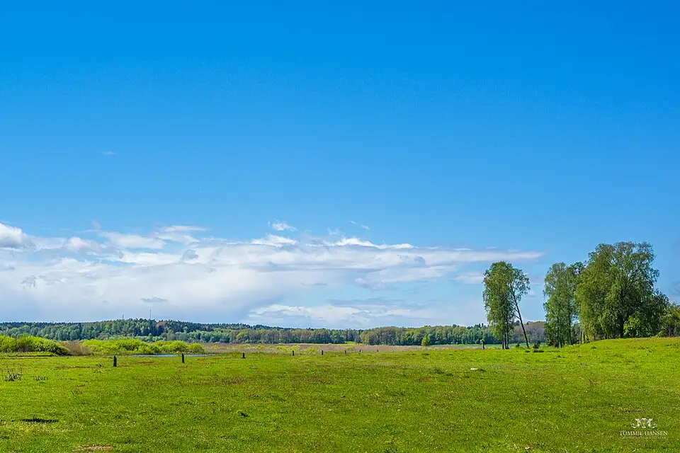 Landschaft und Sehenswürdigkeiten in Stockholm für Busreise Stockholm im Sommer – Reiseguide