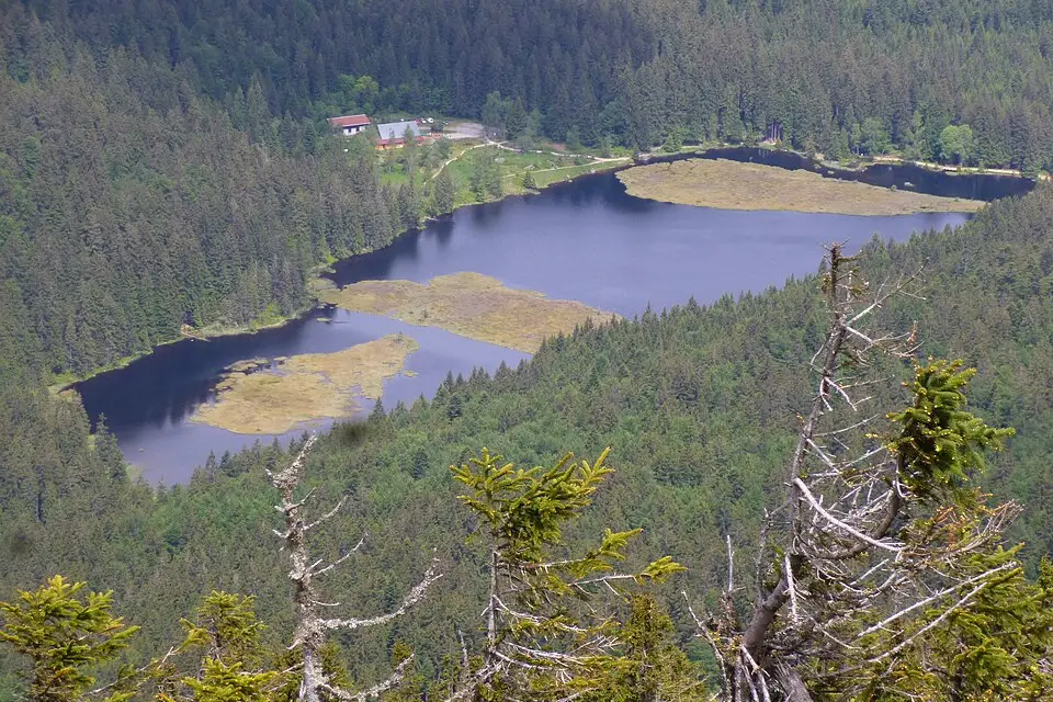 Authentischer Reisemoment in Bayerischen Wald – passend zu Busreise Bayerischer Wald im Winter – Tipps zur Auswahl