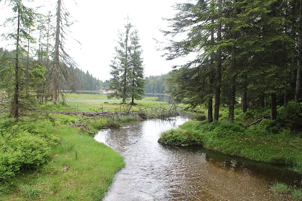 Stimmungsvolle Reiseansicht aus Bayerischen Wald für Bayerischer Wald – Seniorenreise mit Abholservice