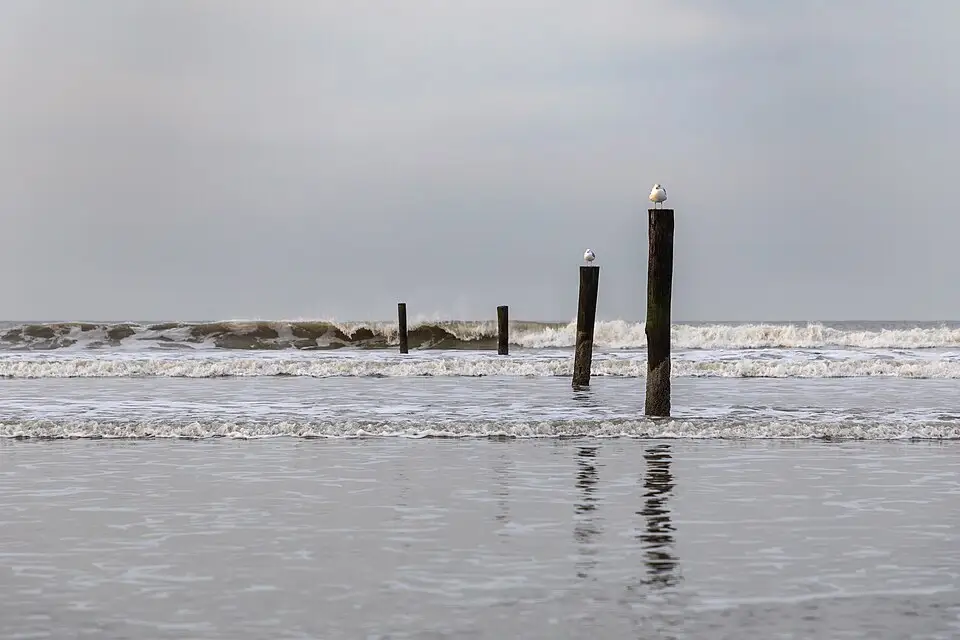 Landschaft und Sehenswürdigkeiten in Nordsee für Busreise Nordsee im Frühling – Tipps zur Auswahl