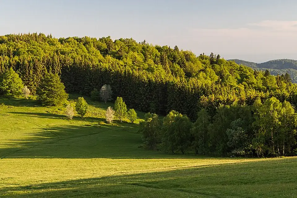 Authentischer Reisemoment in Elsass – passend zu Singlereise Elsass mit dem Bus – Reisecheck