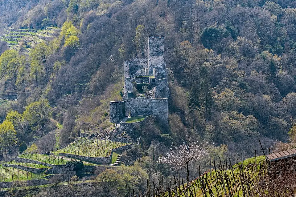 Landschaft und Sehenswürdigkeiten in Wachau für Günstige Busreise Wachau – Dauer & Komfort
