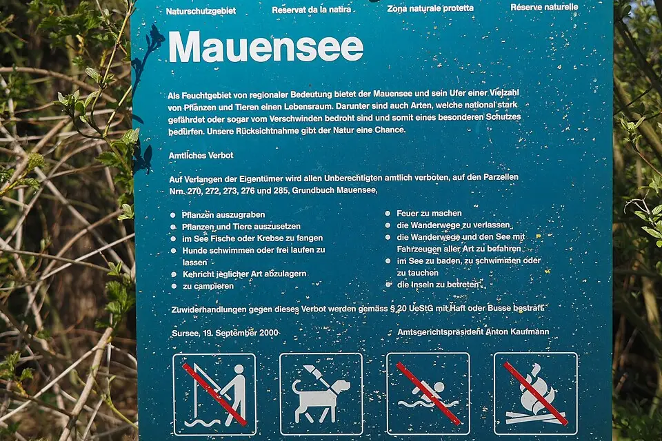 Authentischer Reisemoment in Vierwaldstättersee – passend zu Busreise Vierwaldstättersee in kleiner Gruppe – Tipps zur Auswahl