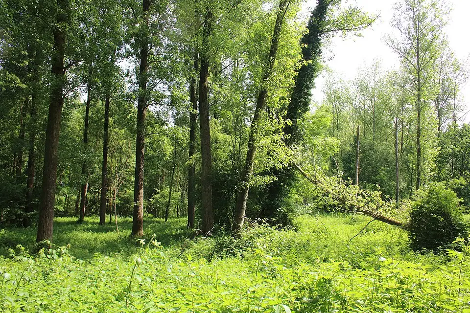 Landschaft und Sehenswürdigkeiten in Flandern für Kulturreise Flandern mit dem Bus – Dauer & Komfort