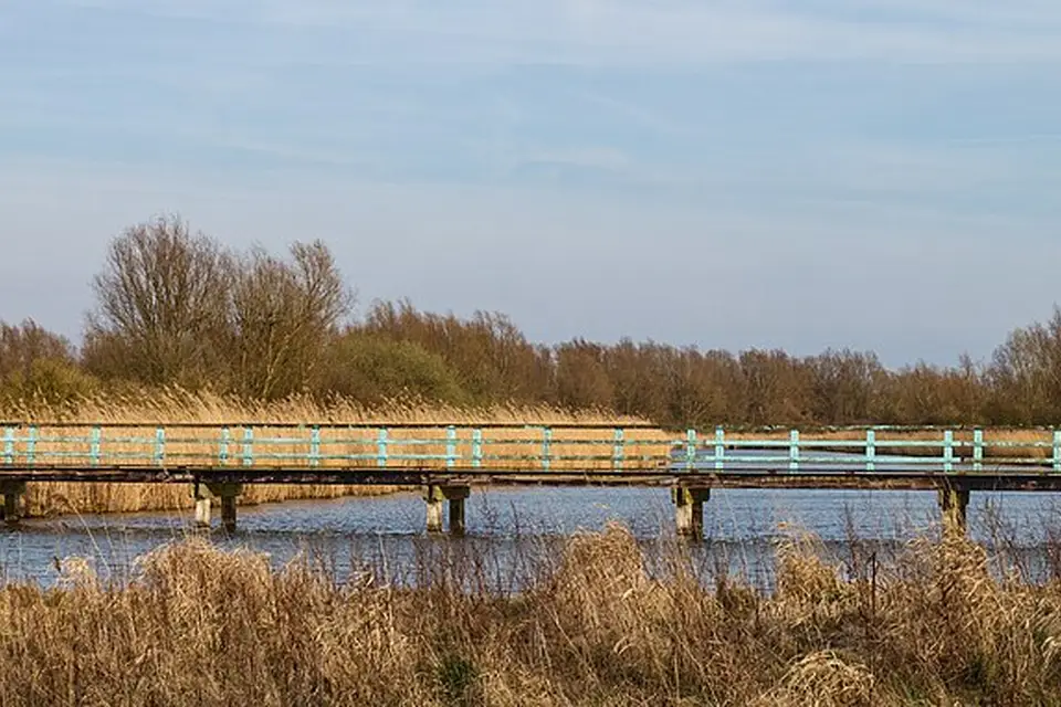 Authentischer Reisemoment in Amsterdam – passend zu Naturreise Amsterdam mit dem Bus – Tipps zur Auswahl