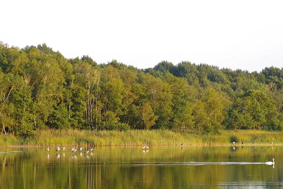 Landschaft und Sehenswürdigkeiten in Mecklenburgischen Seenplatte für Mecklenburgische Seenplatte – Komfortreise im Vier-Sterne-Hotel