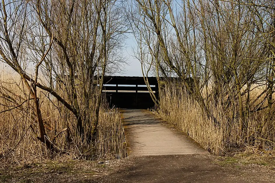 Landschaft und Sehenswürdigkeiten in Amsterdam für Busreise Amsterdam in kleiner Gruppe – Route & Leistungen