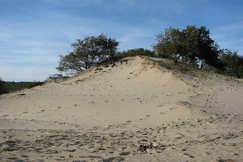 Landschaft und Sehenswürdigkeiten in Zeeland für Busreise Zeeland ohne Nachtfahrt – Dauer & Komfort