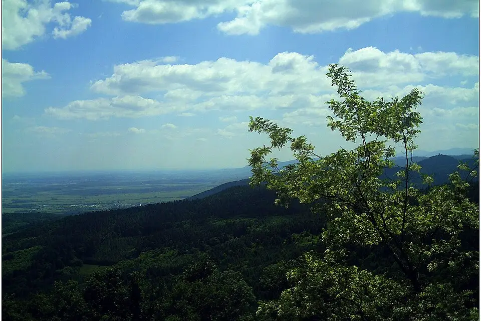 Authentischer Reisemoment in Elsass – passend zu Gruppenreise Elsass mit dem Bus – Reisecheck