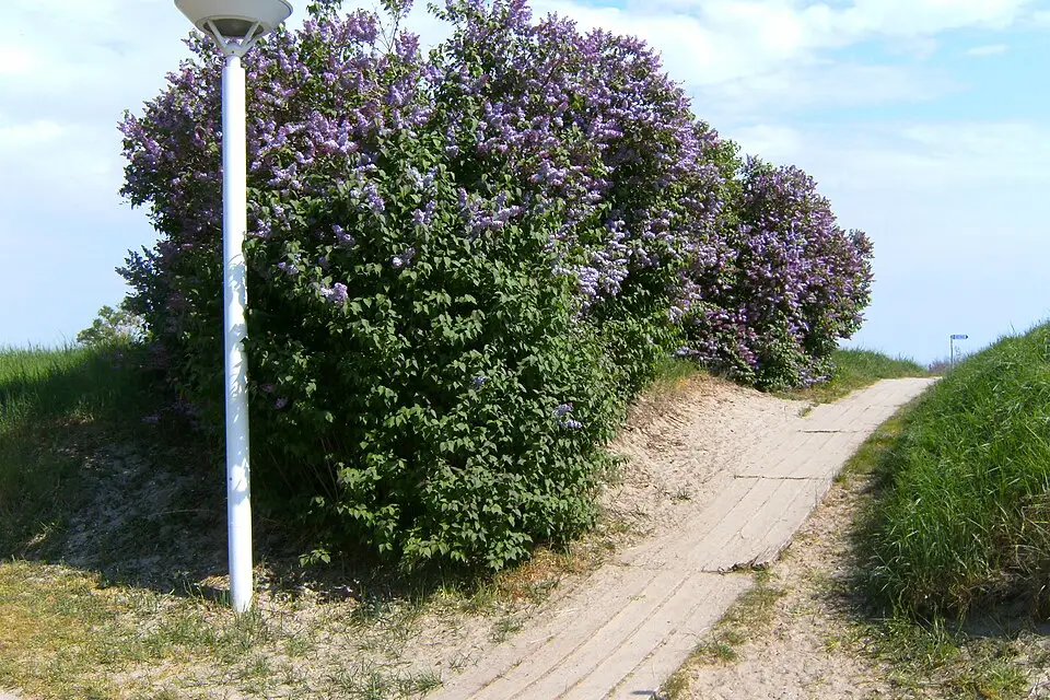 Landschaft und Sehenswürdigkeiten in Ostsee für Busreise Ostsee mit Schifffahrt – Dauer & Komfort