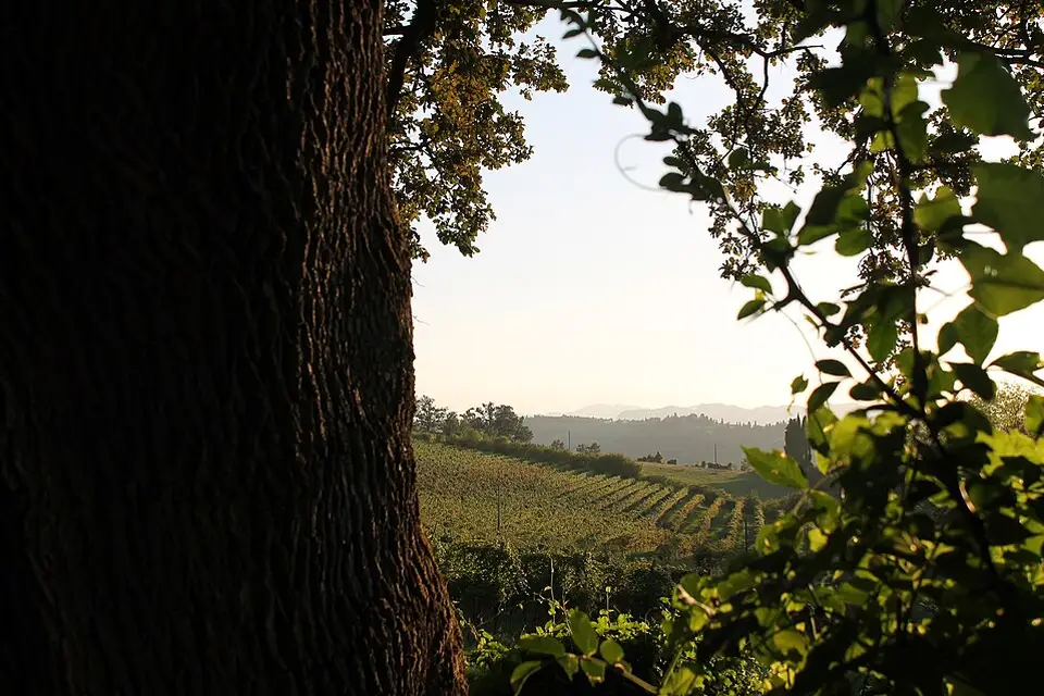 Authentischer Reisemoment in Emilia Romagna – passend zu Emilia-Romagna – Seniorenreise mit Abholservice