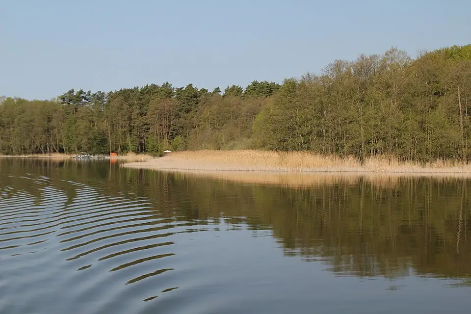 Stimmungsvolle Reiseansicht aus Mecklenburgischen Seenplatte für Mecklenburgische Seenplatte – Busreise-Vergleich