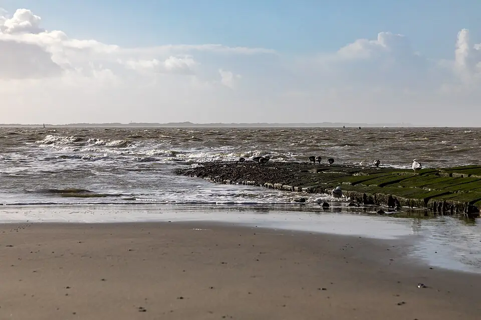 Stimmungsvolle Reiseansicht aus Nordsee für Busreise Nordsee 5 Tage – Tipps zur Auswahl