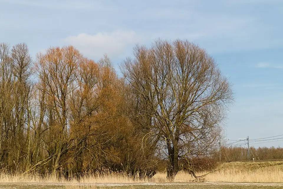 Landschaft und Sehenswürdigkeiten in Amsterdam für Busreise Amsterdam mit Rollator – Dauer & Komfort