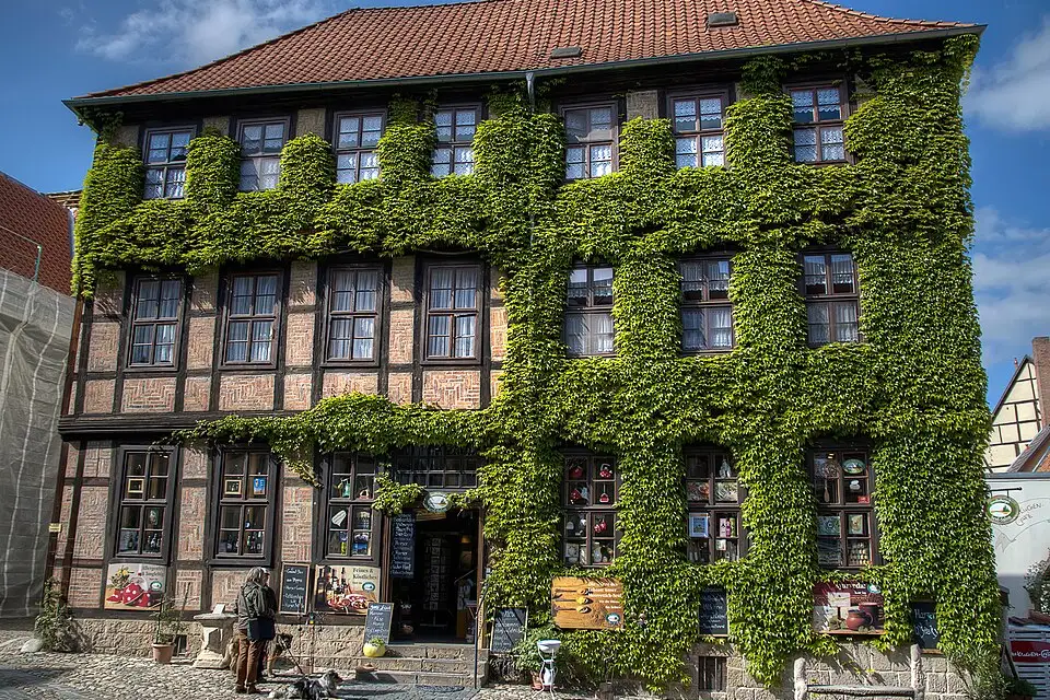Stimmungsvolle Reiseansicht aus Harz für Weihnachtsreise Harz mit dem Bus – Reiseguide