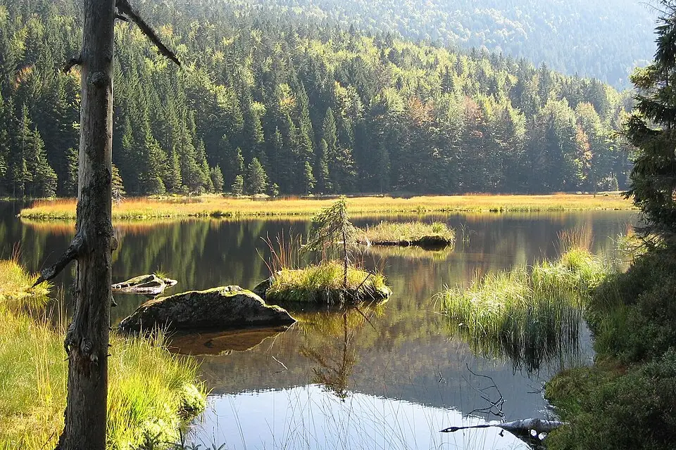 Authentischer Reisemoment in Bayerischen Wald – passend zu Busreise Bayerischer Wald übers Wochenende – Dauer & Komfort