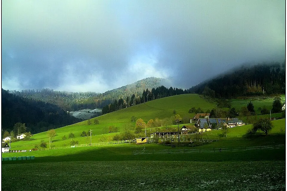 Stimmungsvolle Reiseansicht aus Schwarzwald für Busreise Schwarzwald 5 Tage – ehrlich eingeordnet