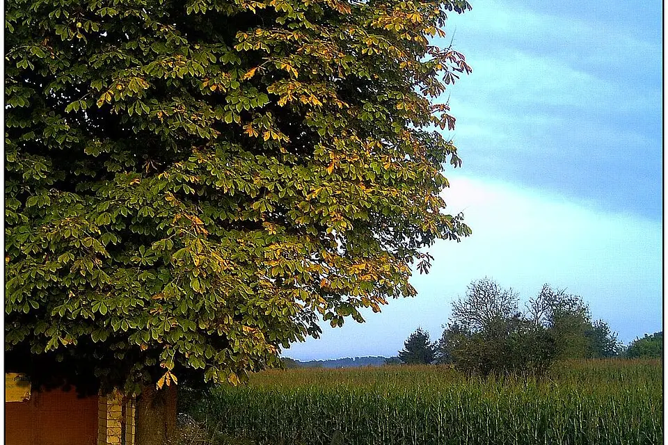 Authentischer Reisemoment in Schwarzwald – passend zu Busreise Schwarzwald 10 Tage – Reiseguide