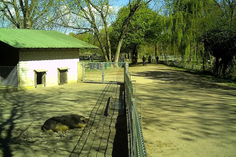 Authentischer Reisemoment in Rhein – passend zu Naturreise Romantischer Rhein mit dem Bus – Reiseguide