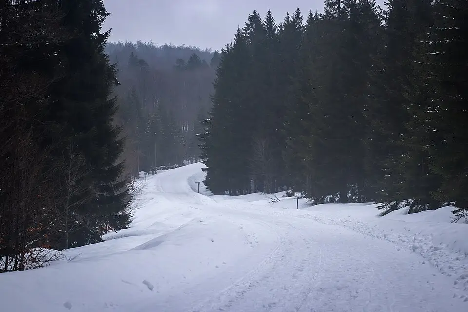 Stimmungsvolle Reiseansicht aus Bayerischen Wald für Panoramareise Bayerischer Wald mit dem Bus – Dauer & Komfort