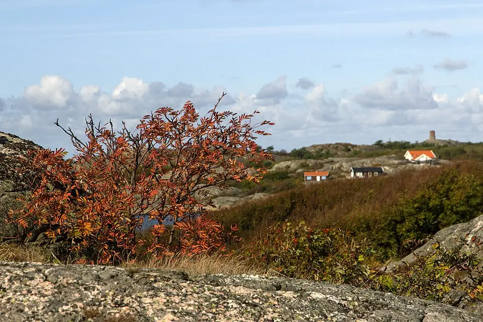 Authentischer Reisemoment in Südschweden – passend zu Busreise Südschweden mit wenig Gehstrecke – Route & Leistungen