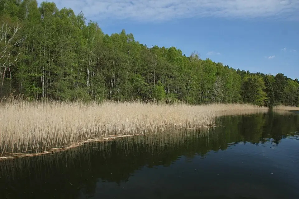 Landschaft und Sehenswürdigkeiten in Mecklenburgischen Seenplatte für Mecklenburgische Seenplatte – Busreise für Alleinreisende