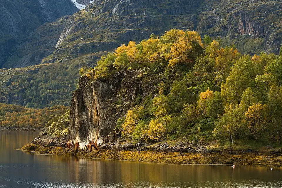 Landschaft und Sehenswürdigkeiten in Norwegische Fjorde für Busreise Norwegische Fjorde mit Panoramabahn – Tipps zur Auswahl