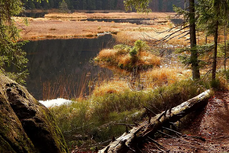 Landschaft und Sehenswürdigkeiten in Bayerischen Wald für Busreise Bayerischer Wald im Winter – Tipps zur Auswahl