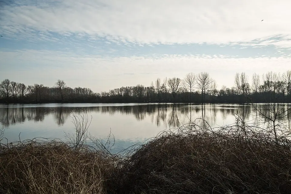 Stimmungsvolle Reiseansicht aus Flandern für Kulturreise Flandern mit dem Bus – Dauer & Komfort