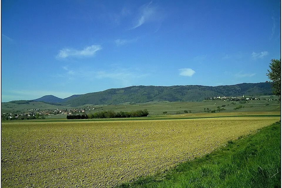 Landschaft und Sehenswürdigkeiten in Elsass für Barrierearme Busreise Elsass – Reiseguide