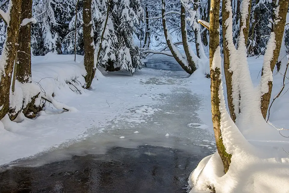 Authentischer Reisemoment in Bayerischen Wald – passend zu Busreise Bayerischer Wald – Reiseguide