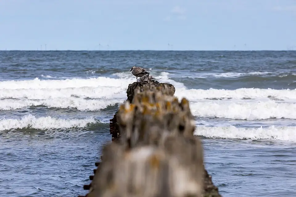Landschaft und Sehenswürdigkeiten in Nordsee für Kulturreise Nordsee mit dem Bus – Tipps zur Auswahl